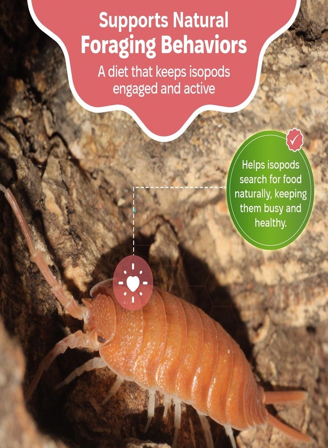 Snout and Shell Isopod Food A Bountiful Selection Crafted to Enrich Your Pet's Habitat and Diet (Garden Foraging Blend) - Image 5